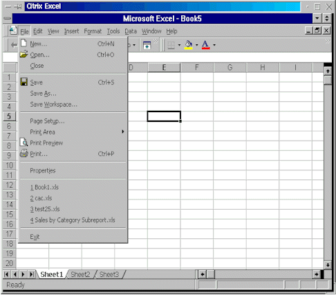 Excel ber das Internet